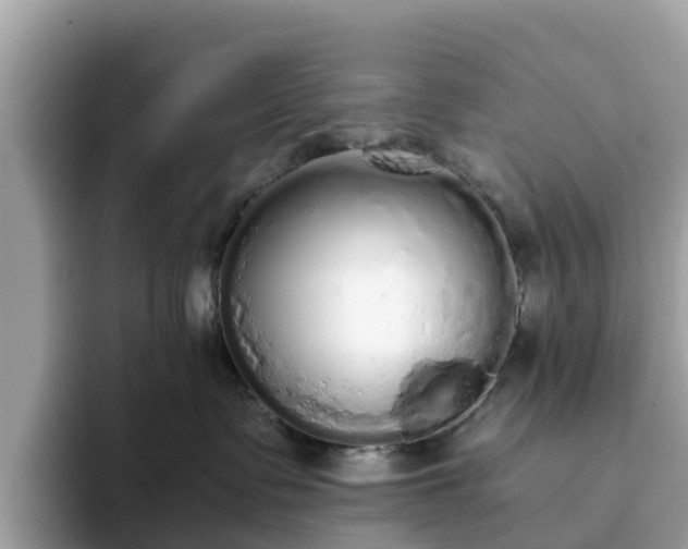 X0000094080335200710261312