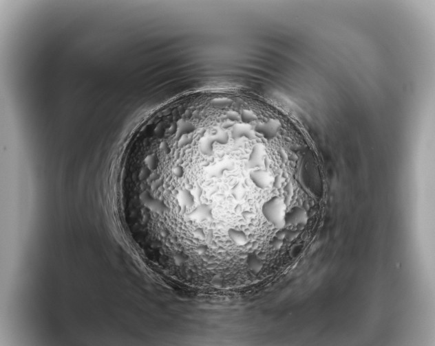 X0000094080337200710261312