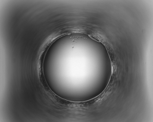 X0000094080339200710261312