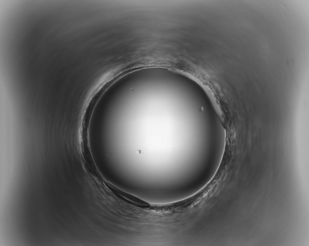 X0000094080340200710261312