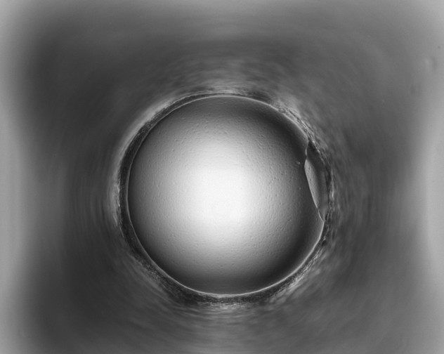 X0000094080342200710261312