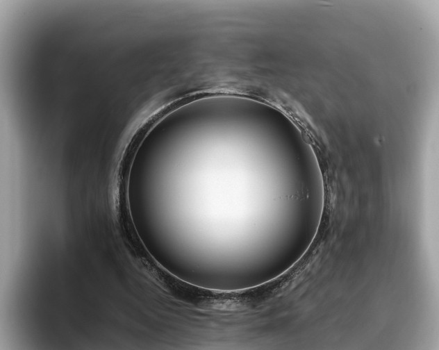 X0000094080344200710261312