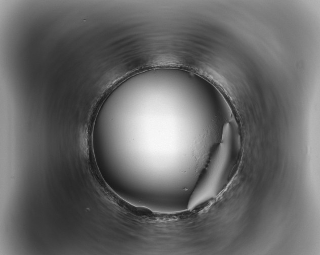 X0000094080345200710261312