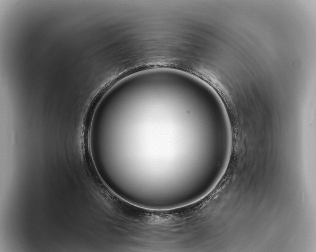 X0000094080346200710261312