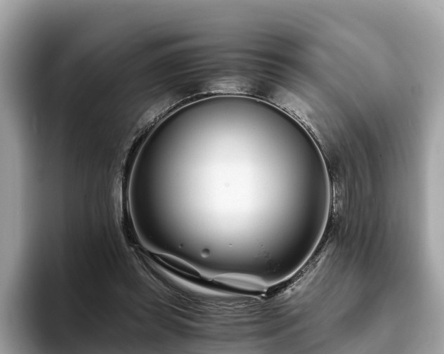 X0000094080349200710261312