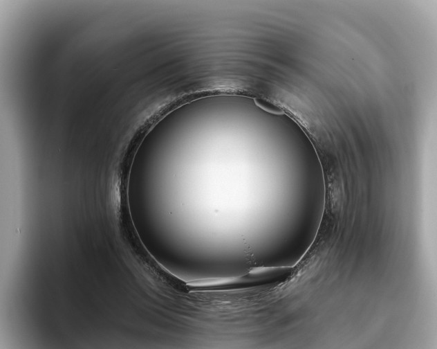 X0000094080350200710261312