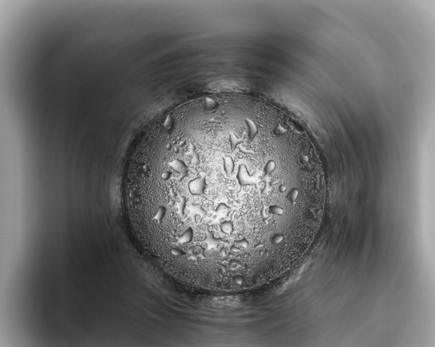 X0000094080353200710261312