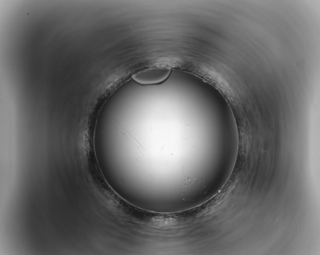 X0000094080354200710261312