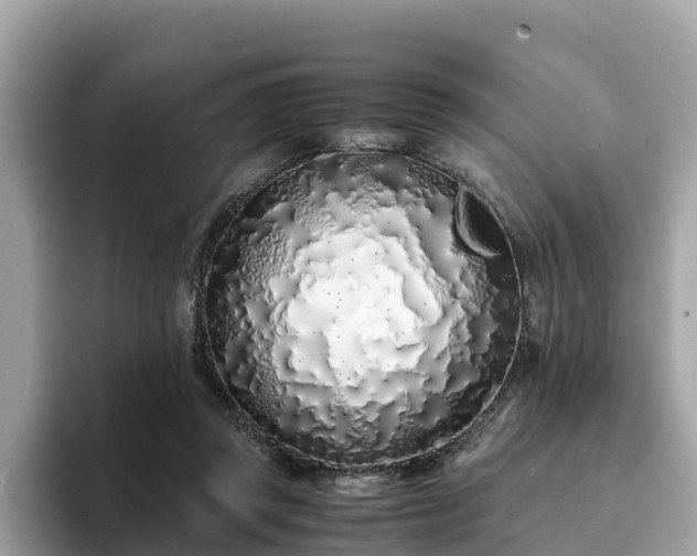 X0000094080357200710261312