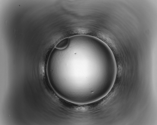 X0000094080358200710261312