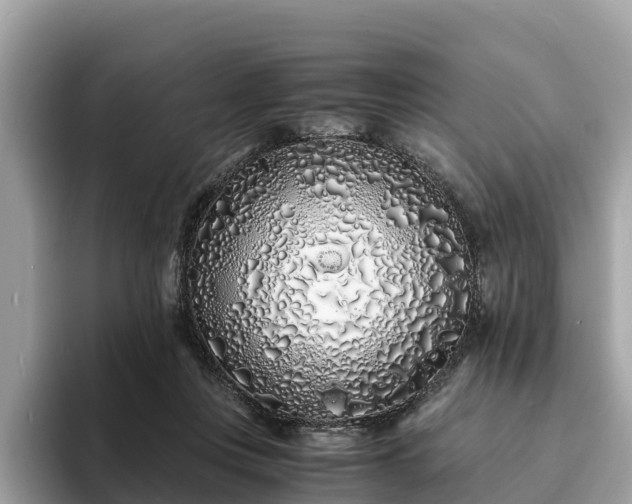 X0000094080359200710261312