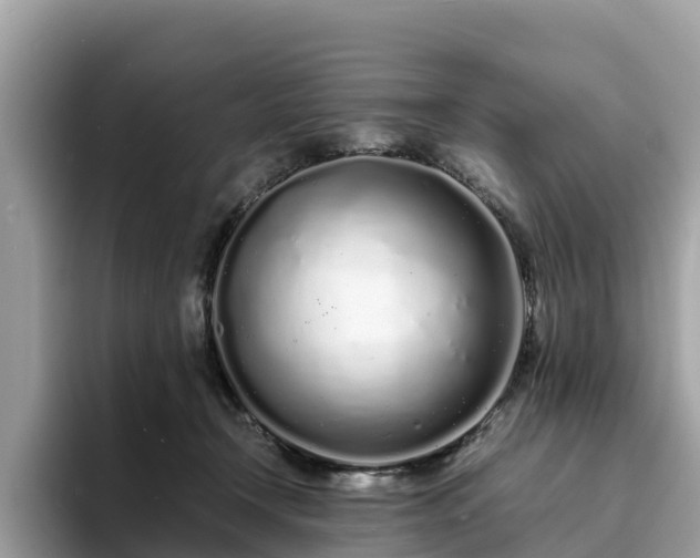 X0000094080366200710261312