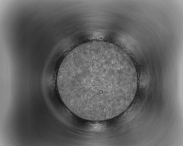 X0000094080370200710261312