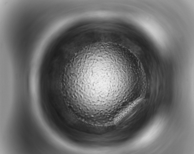 X0000094080383200710261312