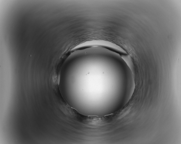 X0000094080384200710261312