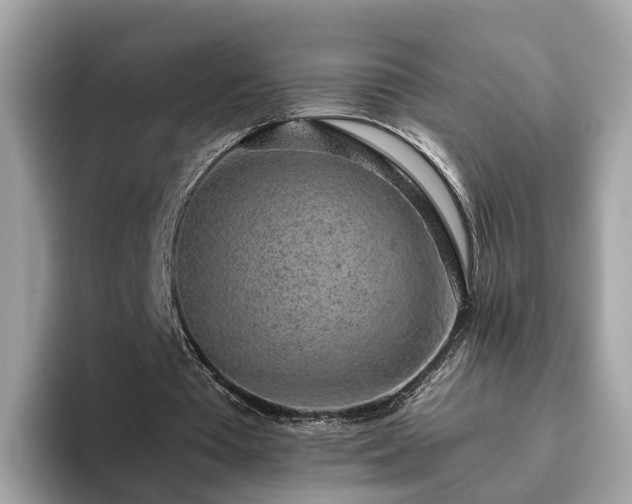 X0000094080385200710261312