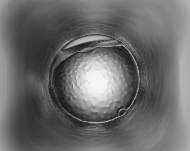 X0000094080386200710261312