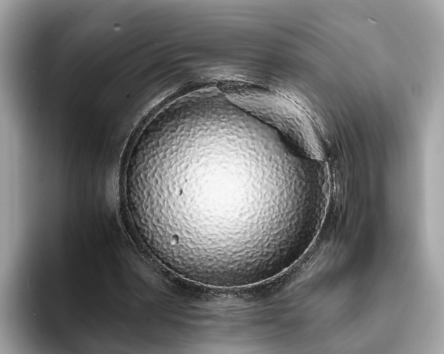 X0000094080390200710261312