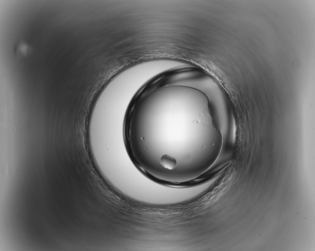 X0000094080393200710261311