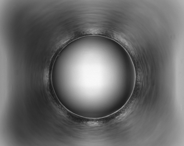 X0000094080394200710261311