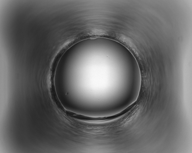 X0000094080395200710261311