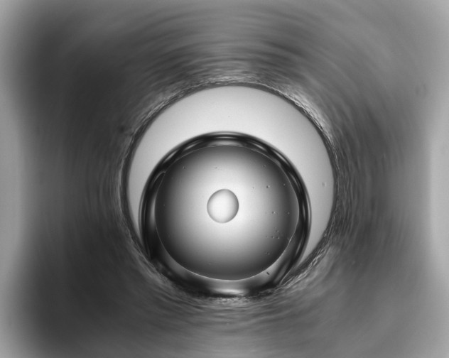 X0000094080397200710261311