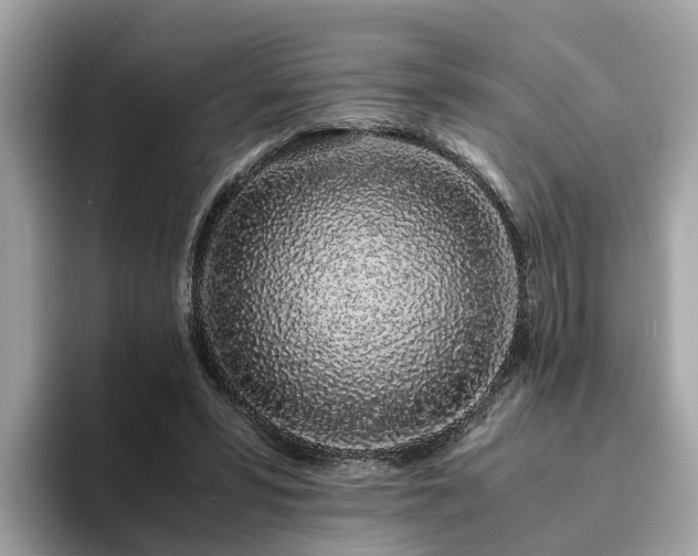 X0000094080399200710261311