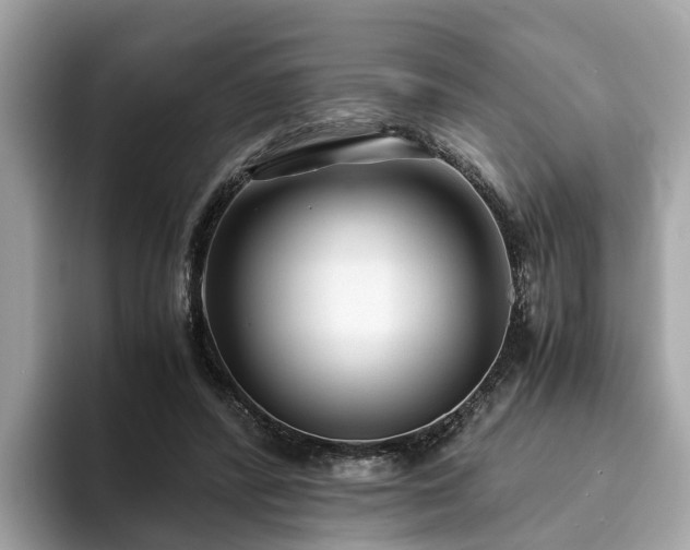 X0000094080400200710261311