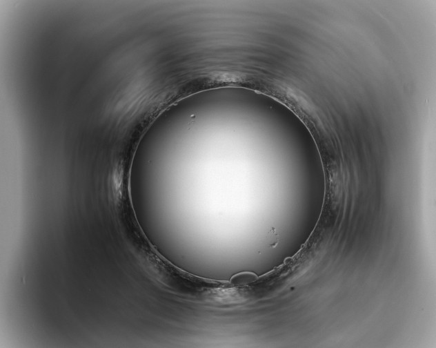 X0000094080406200710261311