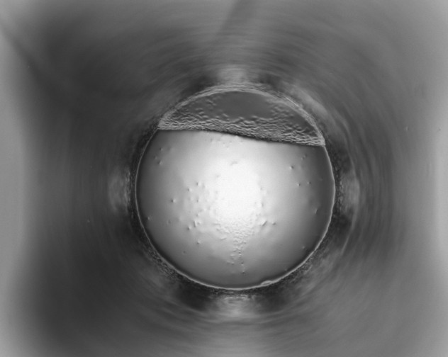 X0000094080413200710261311