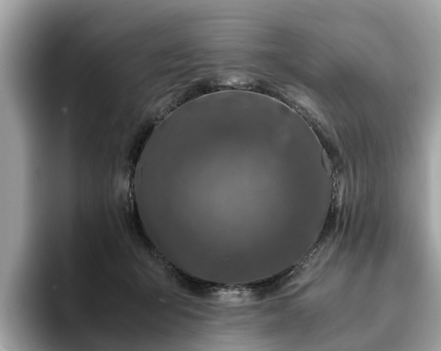 X0000094080415200710261311