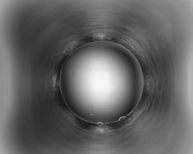 X0000094080420200710261311