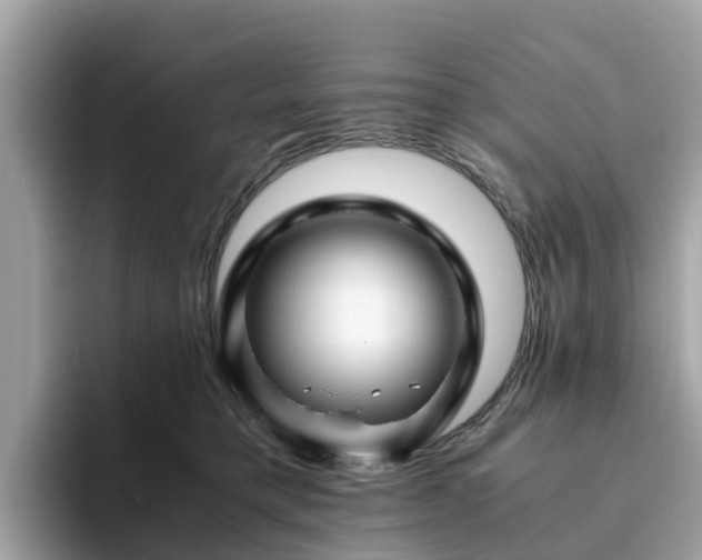 X0000094080421200710261311