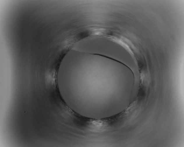 X0000094080423200710261311