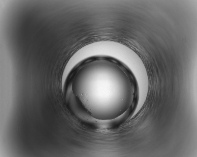 X0000094080425200710261311