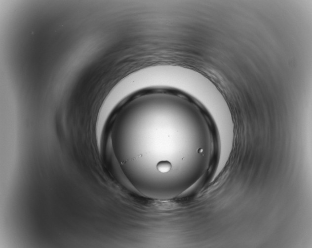 X0000094080429200710261311