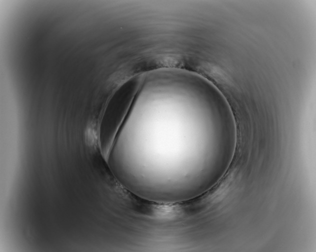 X0000094080432200710261311