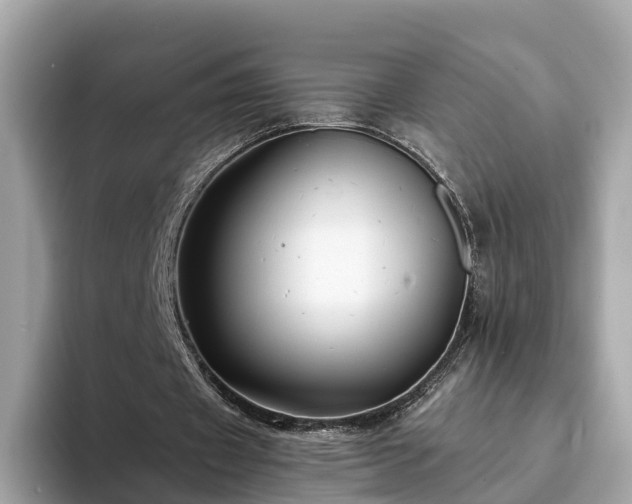 X0000094080433200710261310