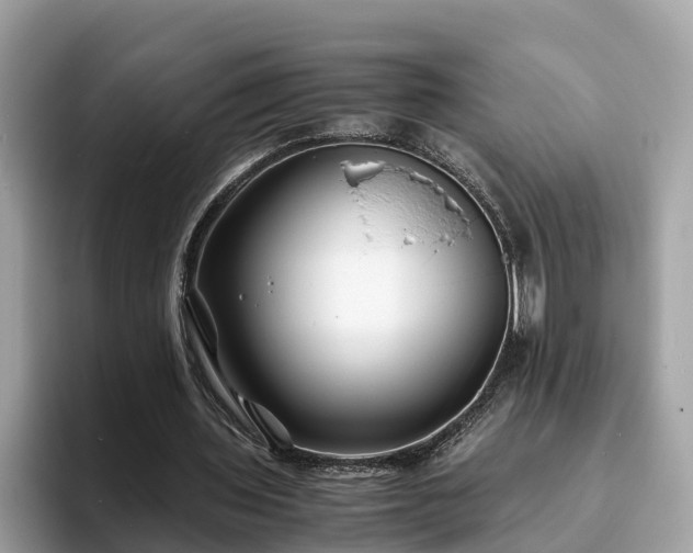 X0000094080435200710261310