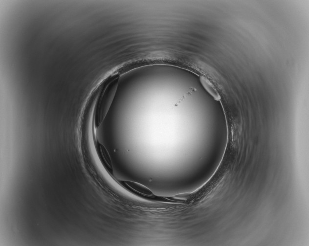 X0000094080436200710261310