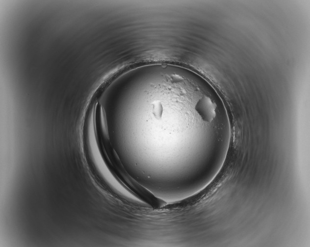 X0000094080438200710261310