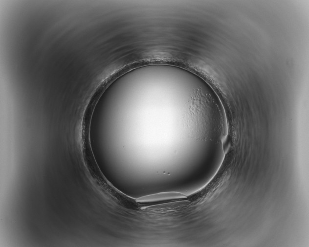 X0000094080439200710261310