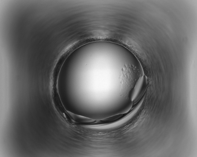 X0000094080440200710261310