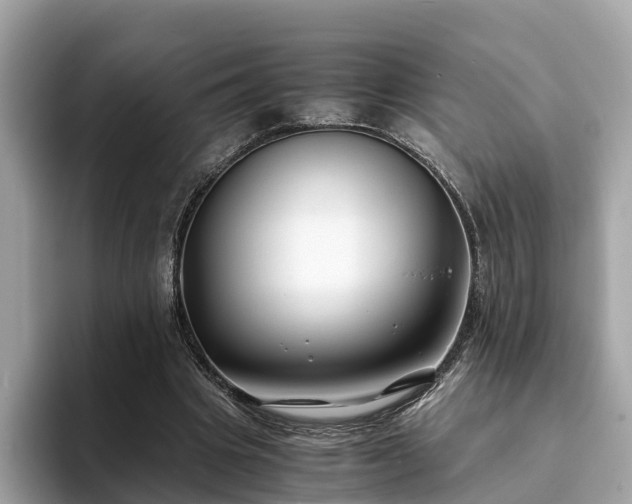 X0000094080441200710261310