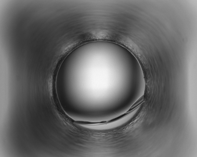 X0000094080442200710261310