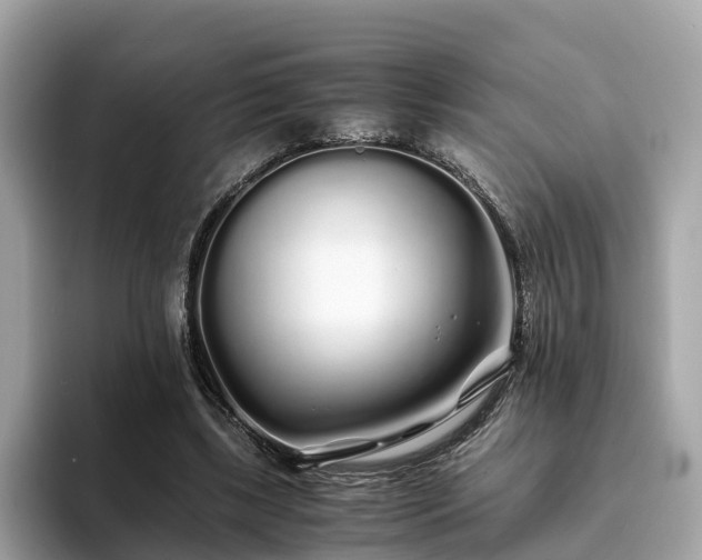 X0000094080443200710261310