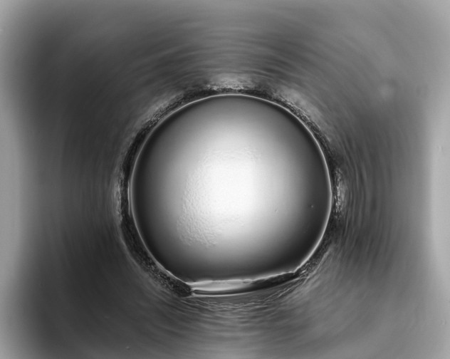 X0000094080444200710261310