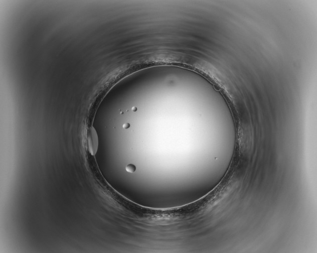 X0000094080445200710261311