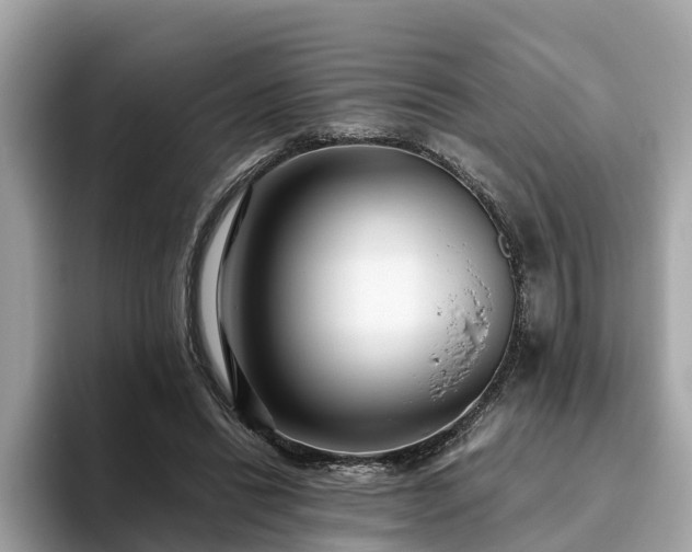 X0000094080446200710261311