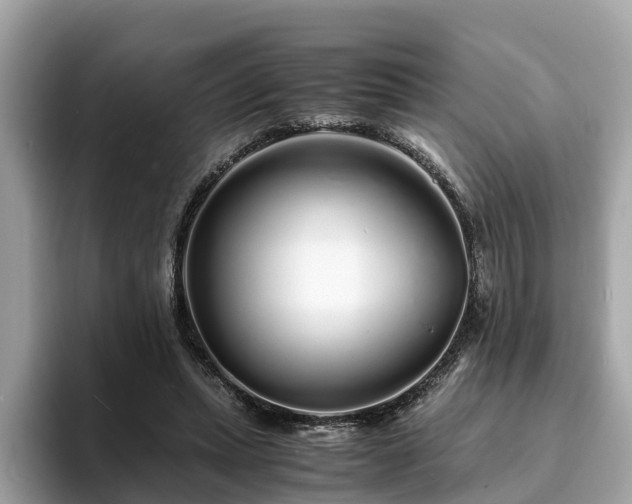 X0000094080447200710261311